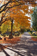 Massachusetts '08